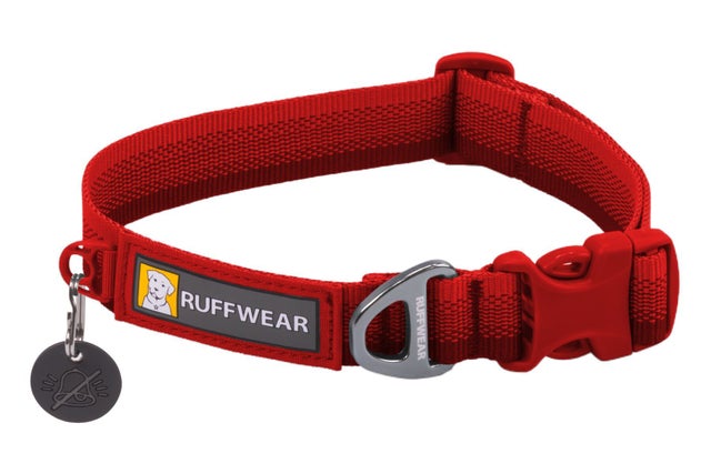 Dog Collars Scruff Co